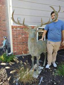 lot 3 image: Lifesize Bronze Statue- Big deer Buck w Huge Rack