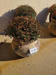 lot 1032 image: Large Outdoor Planter