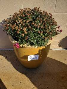 lot 1033 image: Large Outdoor Planter