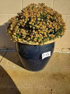 lot 1035 image: Large Outdoor Planter