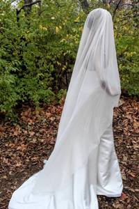 lot 7566 image: 90 Long Flowing Cathedral Veil Solid Ivory with Faint Speckled Rhinestones Along Entire Veil