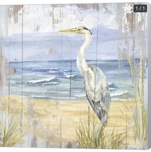 lot 55257 image: Tara Reed Birds of the Coast Rustic II Canvas Art