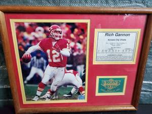 lot 77411 image: Rich Gannon Pro total Stats and Achievements and Awards . Front Row Collectible