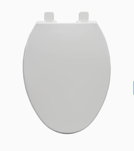 lot 48018 image: AquaSource Elongated Toilet Seat