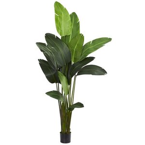 lot 20276 image: Travelers Palm Artificial Tree- Retail$217.49