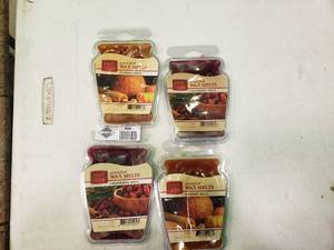 lot 1831 image: Lot of 4 Wax Melts-- 2 Pumpkin Spice and 2 Cranberry Spice