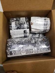 lot 2385 image: 4-Piece Instant Flower Set