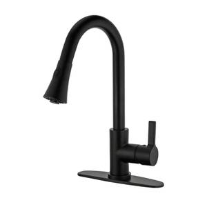 lot 39544 image: Faucetaire LS8720CTL Continental Kitchen Faucet with Pull-Down Sprayer, Matte Black