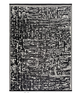 lot 34260 image: Lightweight Indoor Outdoor Reversible Plastic Area Rug - Ohio