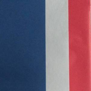 lot 62117 image: Striped Tissue Paper - Spritz, Multi-Colored