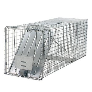 lot 59686 image: Havahart Large 1-Door Animal Trap