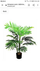 lot 65322 image: Admired By Nature Artificial Paradise Palm Tree Plant Plastic Pot, 3, Single Pack