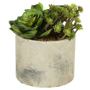 lot 55859 image: Set of 2 - mixed lot Vickerman 8 Artificial Succulent Arrangement