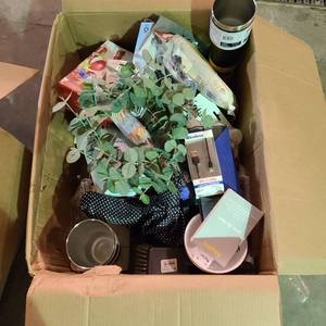 lot 55902 image: Box of Miscellaneous random items