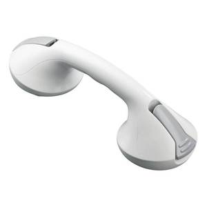 lot 230 image: Moen Glacier 12 Suction Hand Grip