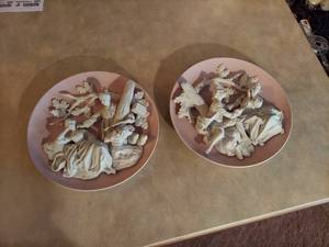 lot 6044 image: (2) 3-D Figurines Plates
