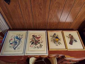 lot 6075 image: 4 Bird Pictures