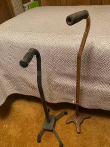 lot 6253 image: 2 canes