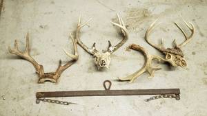 lot 536 image: Metal Deer Hanger, 3 sets of Antlers and Single Antler