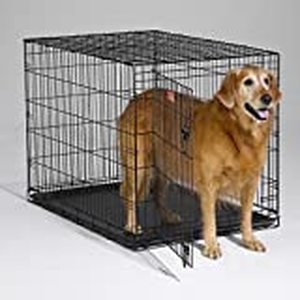 lot 27372 image: Midwest 1542 iCrate Single-Door Pet Crate 42-By-28-By-30-Inch