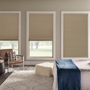 lot 27417 image: Cordless Blackout Cellular Shade