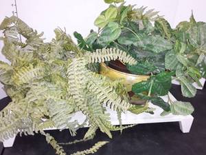 lot 1520 image: 2 Faux plants