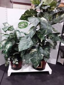 lot 1529 image: 2 Faux plants with similar pots