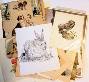 lot 1608 image: VintageAntique Art Lot 13 Pieces - Variety of Animal & Floral Themes