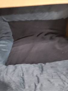 lot 6149 image: Dog Bed