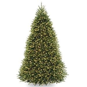 lot 6163 image: National Tree Dunhill Fir Tree with Dual Color LED Lights , 10 Feet