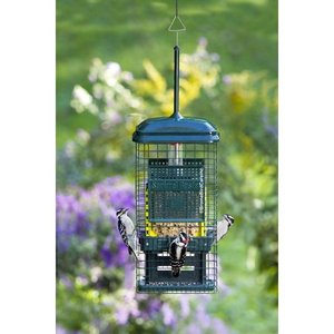 lot 6201 image: Brome Squirrel Buster Suet Feeder 1106