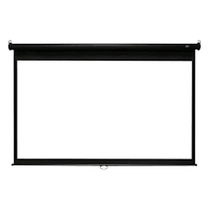 lot 6018 image: Elite Screen