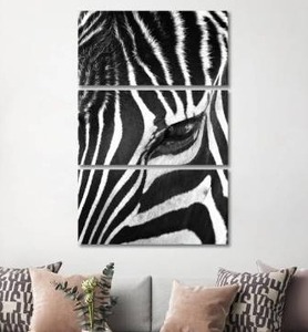 lot 18785 image: iCanvas Zebra Stare by Bob Larson 3-Piece Canvas Wall Art Set - 60x40x0.75