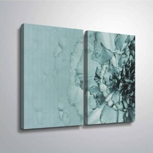 lot 18832 image: ArtWall Close up Flower 2 Piece Gallery Wrapped Canvas Set