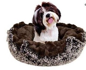 lot 18874 image: BESSIE AND BARNIE Ultra Plush Frosted WillowGodiva Brown Deluxe Luxury Shag Do