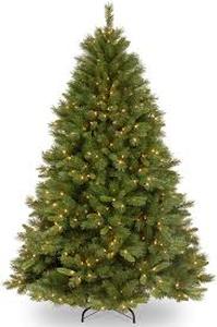 lot 18839 image: National Tree Company 6 ft. Winchester Pine Tree with Clear Lights