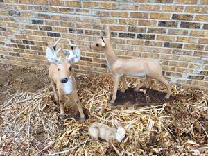 lot 6572 image: 3 Pc Concrete Deer Family - Broken Ear, Tail, Horn and Neck