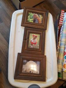 lot 7381 image: 3 pictures in wood frames