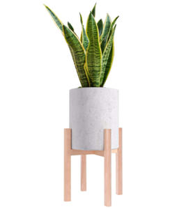 lot 88074 image: Labcosi Plant Stand - Beech Wood - 10 Diameter