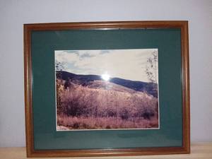 lot 4964 image: Framed Vintage Landscape Photo