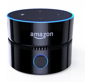 lot 28985 image: Fremo Evo Plus Battery Base For Amazon Echo Dot 2nd Generation Black