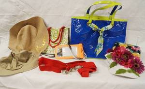 lot 93048 image: Lot of Hats, Purse and More