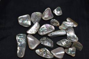 lot 111 image: 2.13oz Abalone Cabochons