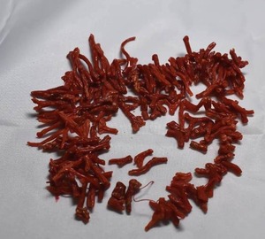 lot 117 image: 1.39oz Red Coral Beads