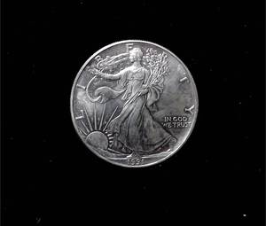 lot 309 image: 1991 Silver Eagle
