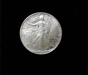lot 310 image: 1991 Silver Eagle
