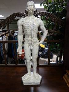 lot 17429 image: Male Acupuncture Model