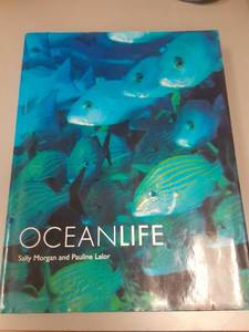 lot 12 image: Ocean Life
