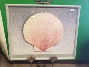 lot 17512 image: Calico Scallop Artwork