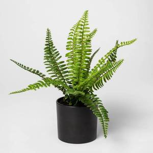 lot 68 image: 12 x 11 Artificial Fern Arrangement in Pot GreenBlack - Project 62